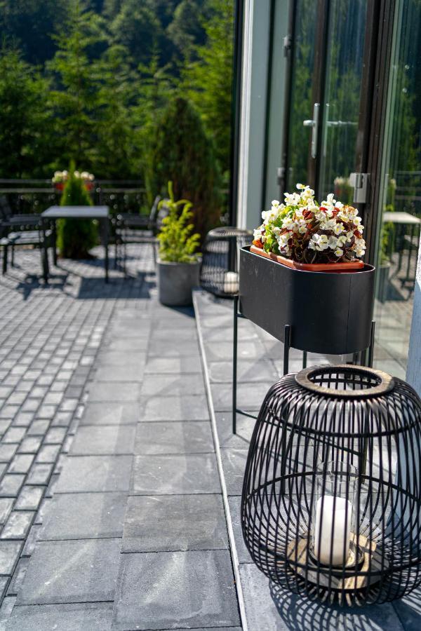 Piscul Negru Hotel - Transfagarasan Cumpana  Ngoại thất bức ảnh