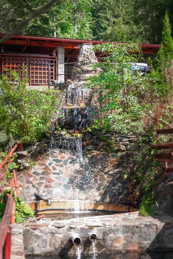 Piscul Negru Hotel - Transfagarasan Cumpana  Ngoại thất bức ảnh