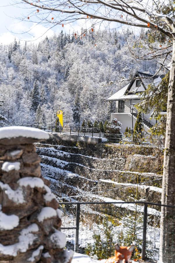 Piscul Negru Hotel - Transfagarasan Cumpana  Ngoại thất bức ảnh