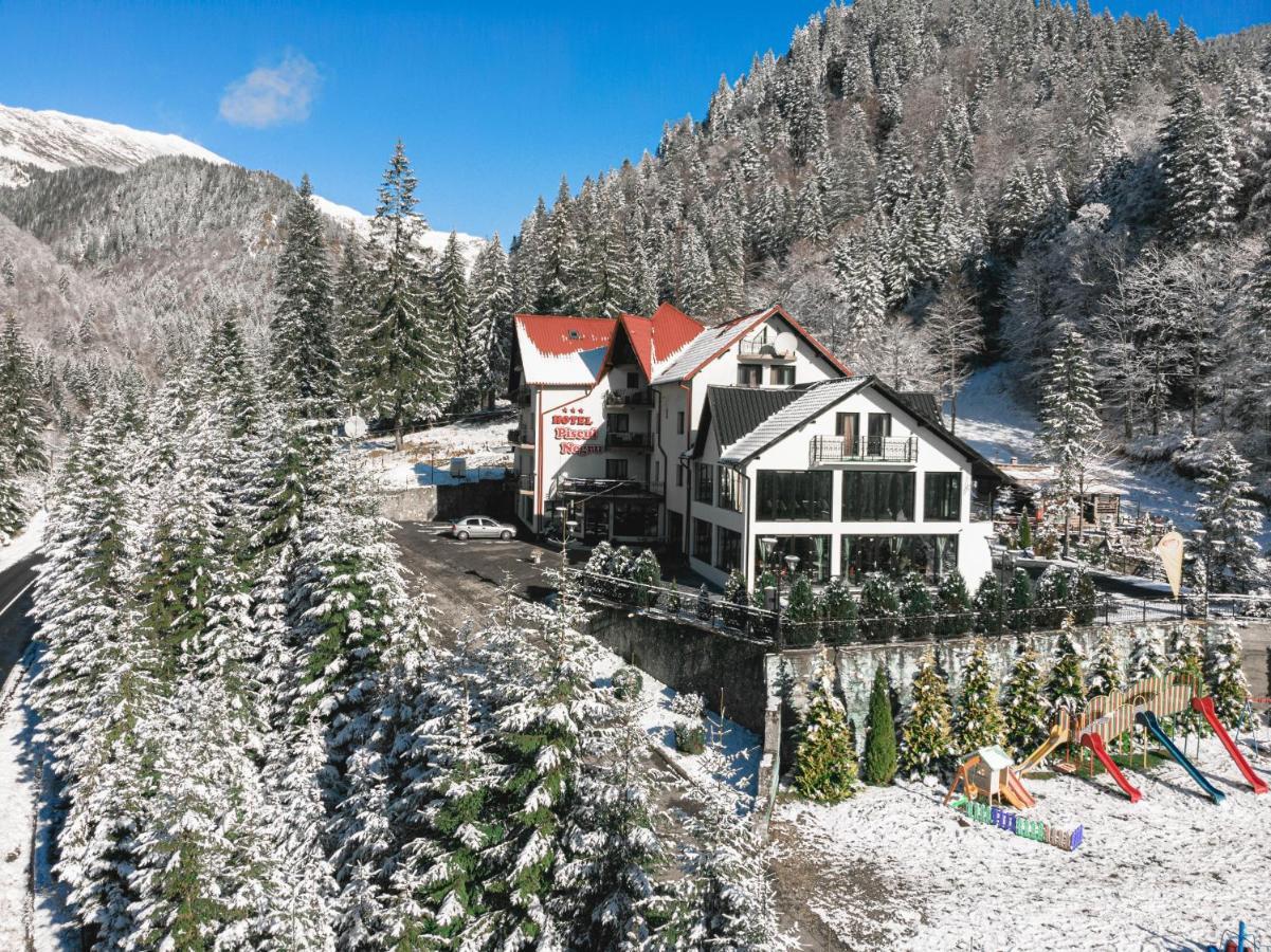 Piscul Negru Hotel - Transfagarasan Cumpana  Ngoại thất bức ảnh