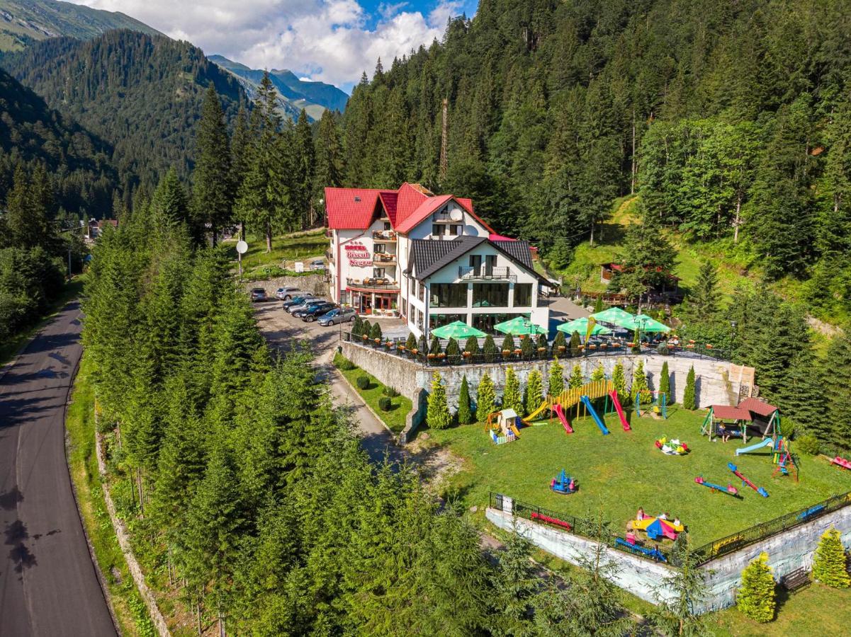 Piscul Negru Hotel - Transfagarasan Cumpana  Ngoại thất bức ảnh